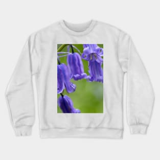 Bluebells (Hyacinthoides non-scripta) (B570/1540) Crewneck Sweatshirt